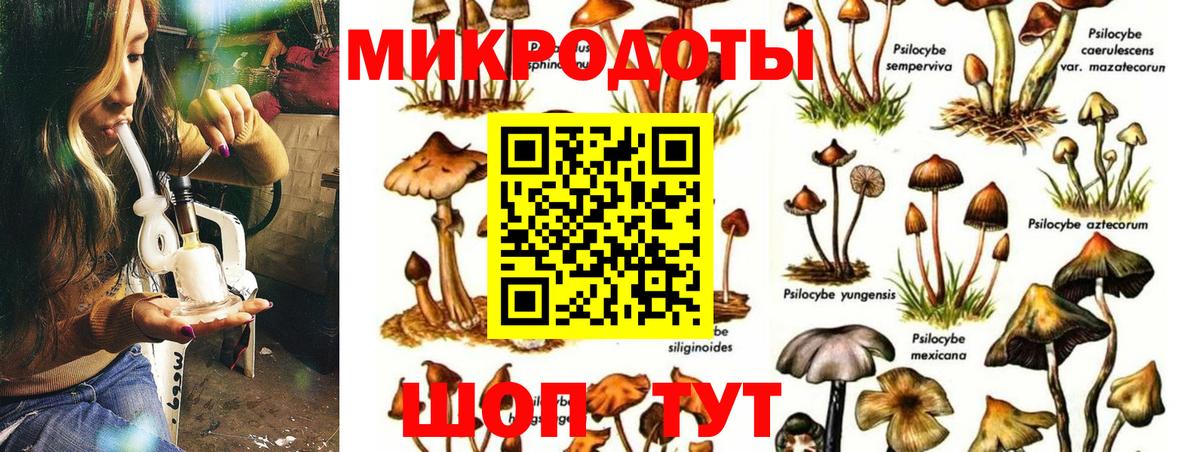 Псилоцибиновые грибы Cubensis  Вход с VPN  Воронеж  Галлюциногенные грибы мухоморы 