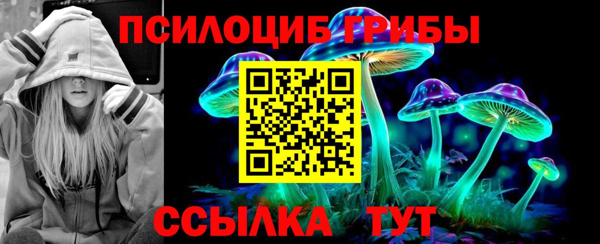 Псилоцибиновые грибы GOLDEN TEACHER Воронеж